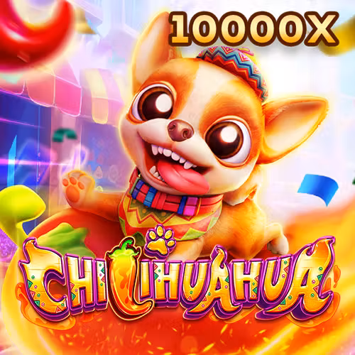 fachai_chihuahua_portrait
